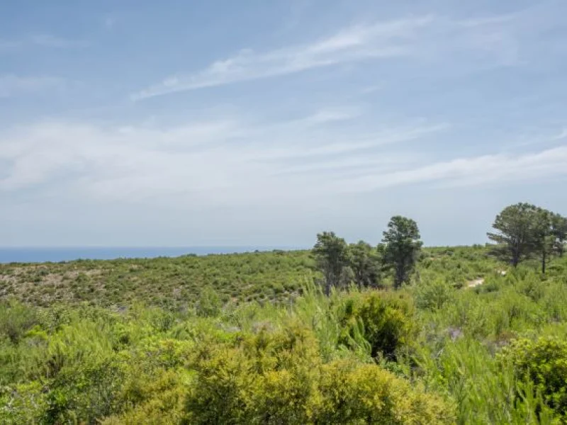 Landelijk perceel met zeezicht in Jávea, nabij Montgó