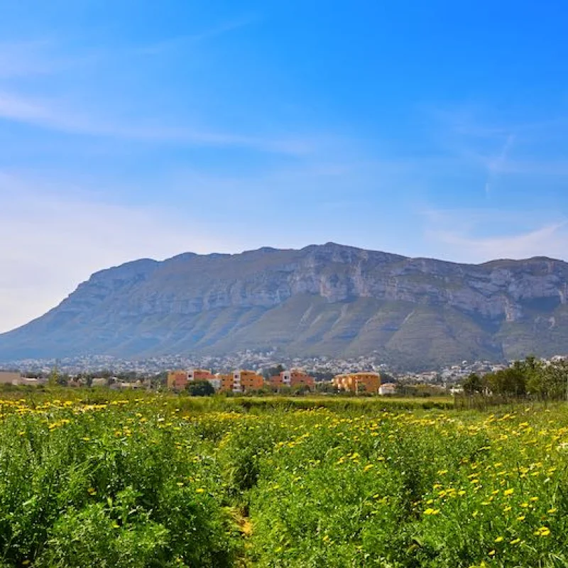 Vastgoed in Dénia Montgó | Andrea Y Olaf