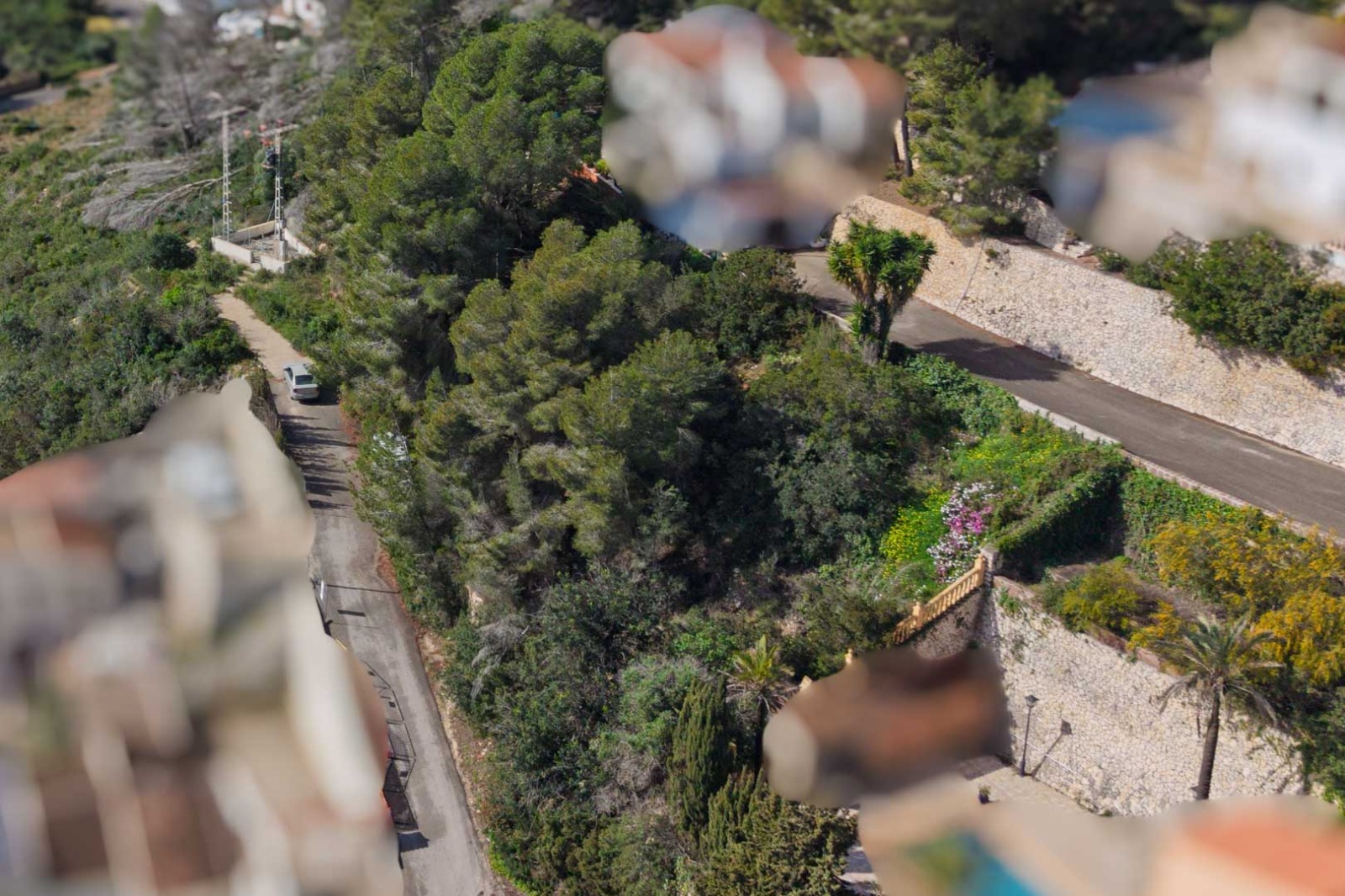 Verhoogd zicht op de toegangsweg in Sol de Este, omgeven door dichte mediterrane vegetatie, pijnbomen en natuurstenen muren.