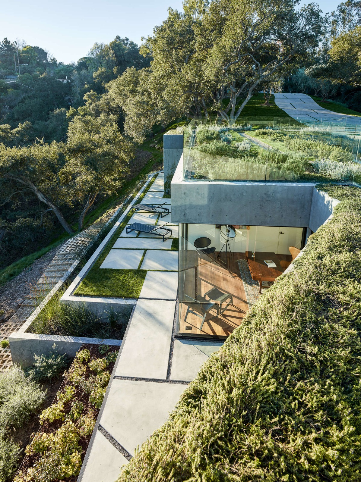 Moderne betonnen villa met een groendak, glazen balustrades en geometrische terrassen, geïntegreerd in het beboste heuvellandschap.