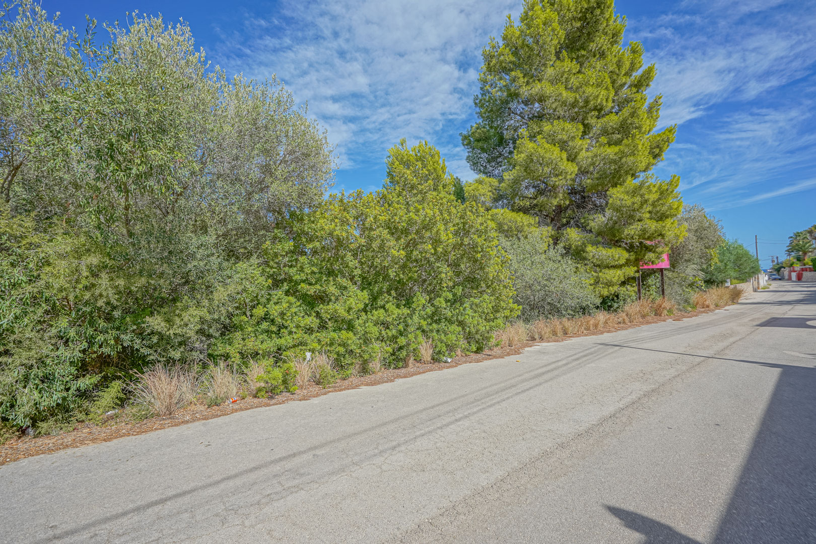 Straatzicht op de perceelgrens, gekenmerkt door dichte mediterrane begroeiing en volwassen pijnbomen langs een geasfalteerde weg.