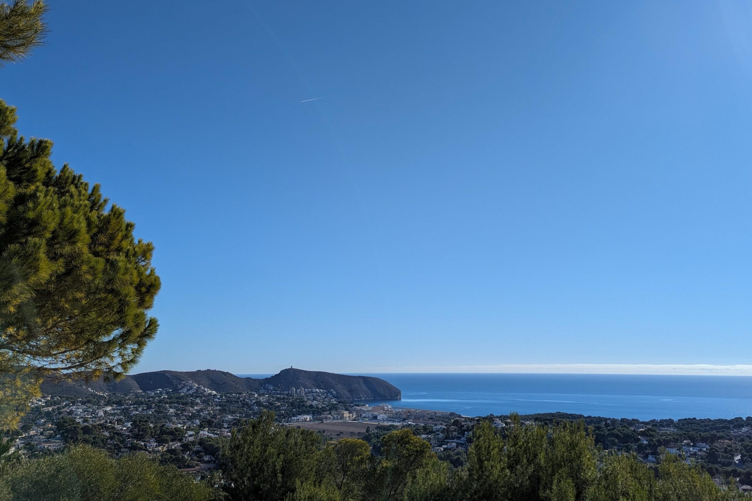 Verhoogd panoramisch uitzicht over de kustlijn van Moraira en de Middellandse Zee, omlijst door inheemse pijnbomen onder een helderblauwe lucht.