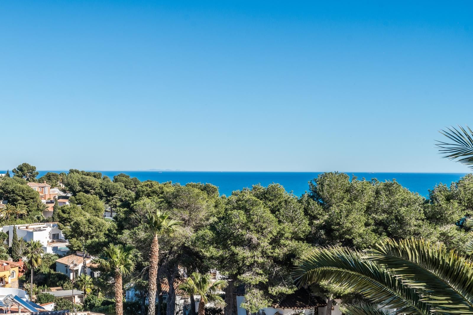 Panoramisch uitzicht op de Middellandse Zee over een weelderig bladerdak van pijnbomen en palmen in de villawijk Balcón al Mar in Jávea.