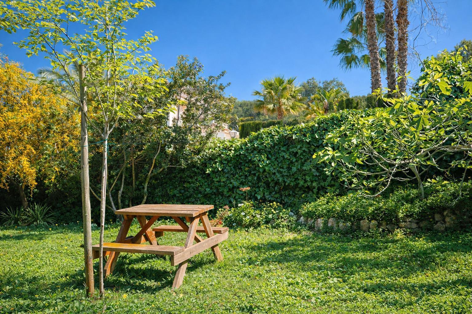 Tuin met natuurlijk gazon en houten picknicktafel, omsloten door een dichte klimophaag en mediterrane palmbomen voor optimale privacy.