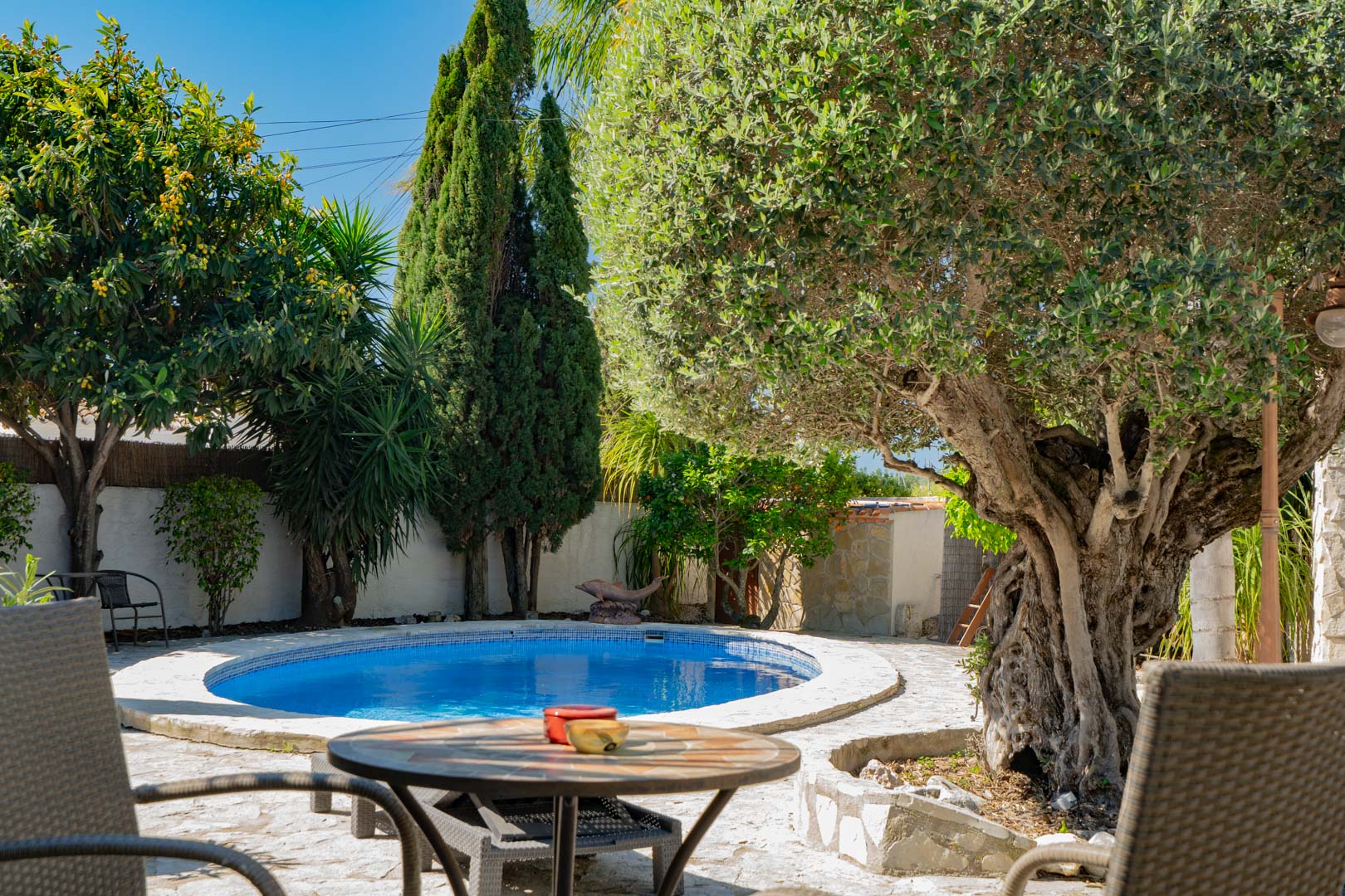 Mediterrane tuin met een rond zwembad, natuurstenen terras en volwassen beplanting waaronder een karakteristieke olijfboom en cipressen.