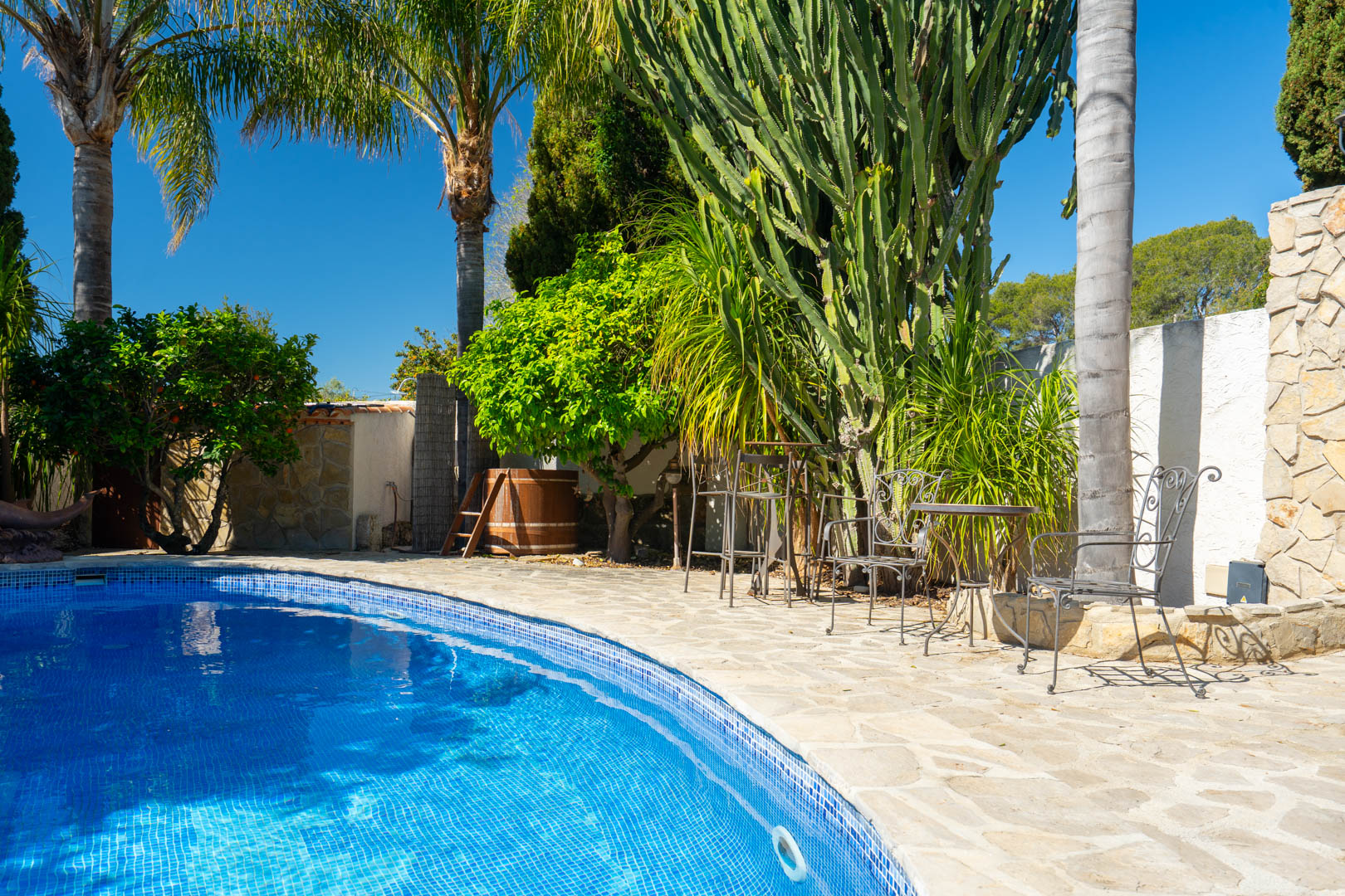 Zwembadgedeelte met natuurstenen terras, smeedijzeren meubilair en mediterrane beplanting met grote cactussen en palmbomen.
