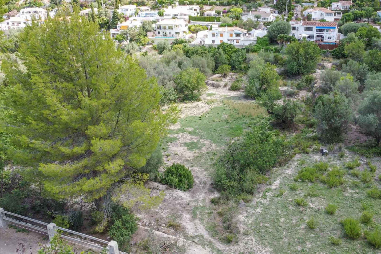 Verhoogd zicht op het uitgestrekte natuurlijke perceel met volwassen pijnbomen en mediterrane begroeiing, gelegen in een rustige woonwijk in Orba.