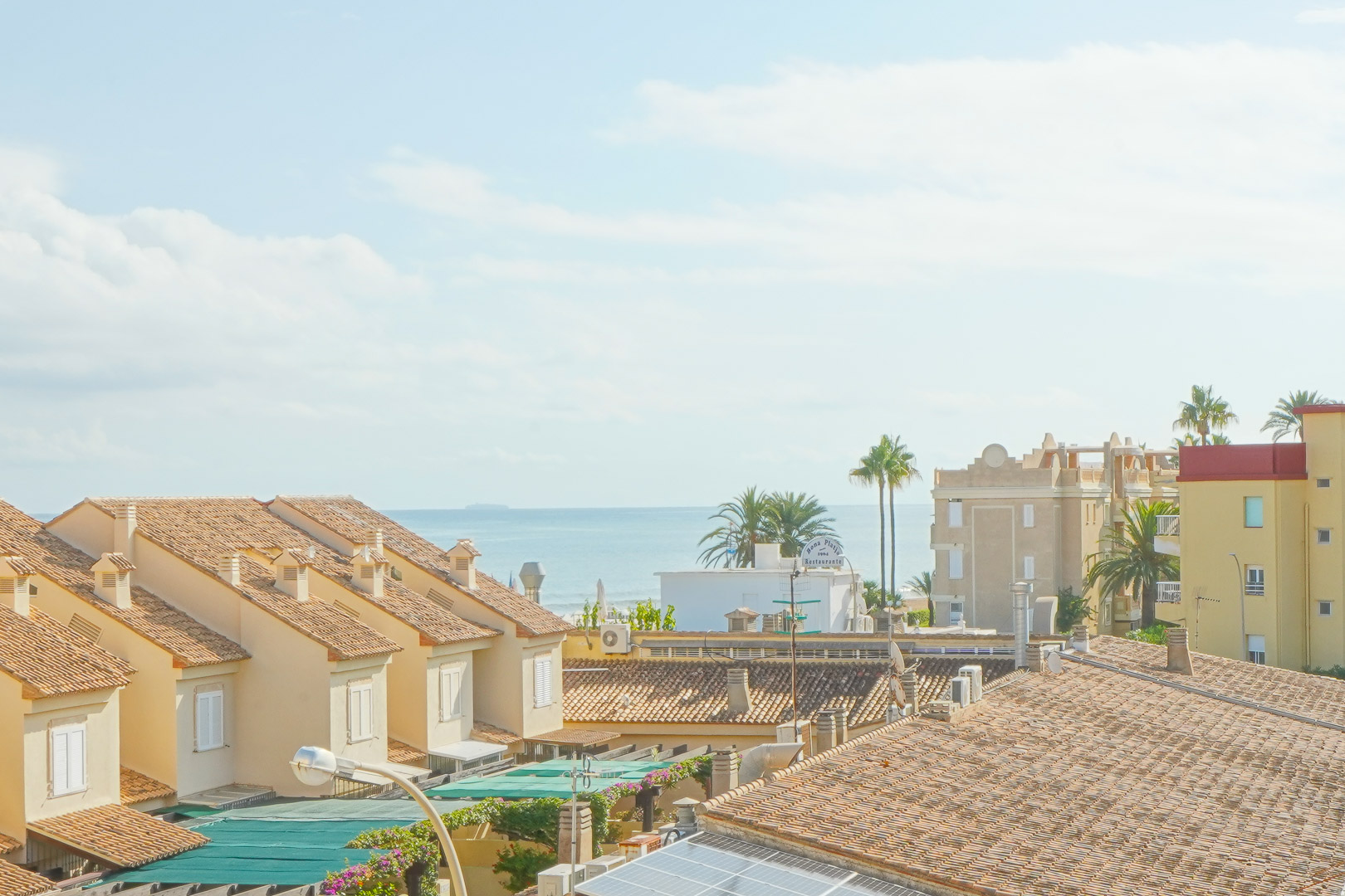Verhoogd uitzicht over mediterrane daken met terracotta pannen en palmbomen, uitkijkend over de rustige zee aan de horizon.