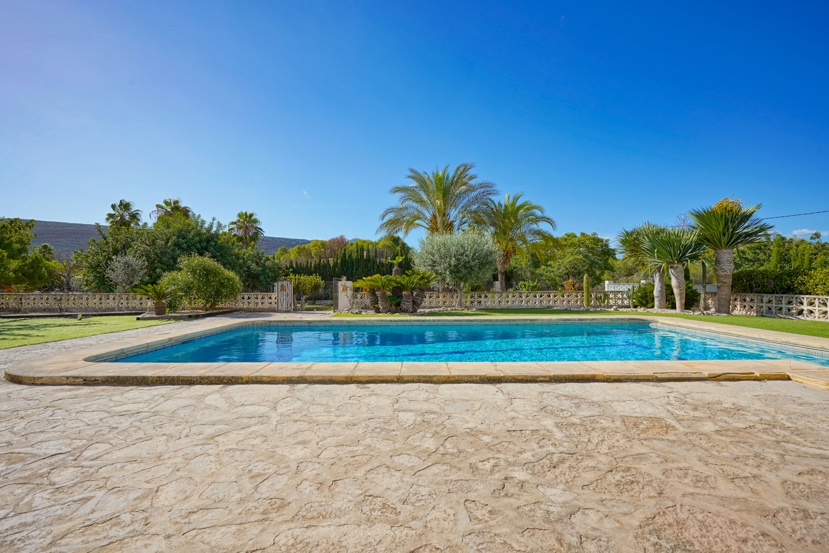 Rechthoekig zwembad omgeven door een natuurstenen terras en een volgroeide mediterrane tuin met diverse palmsoorten en yucca's.