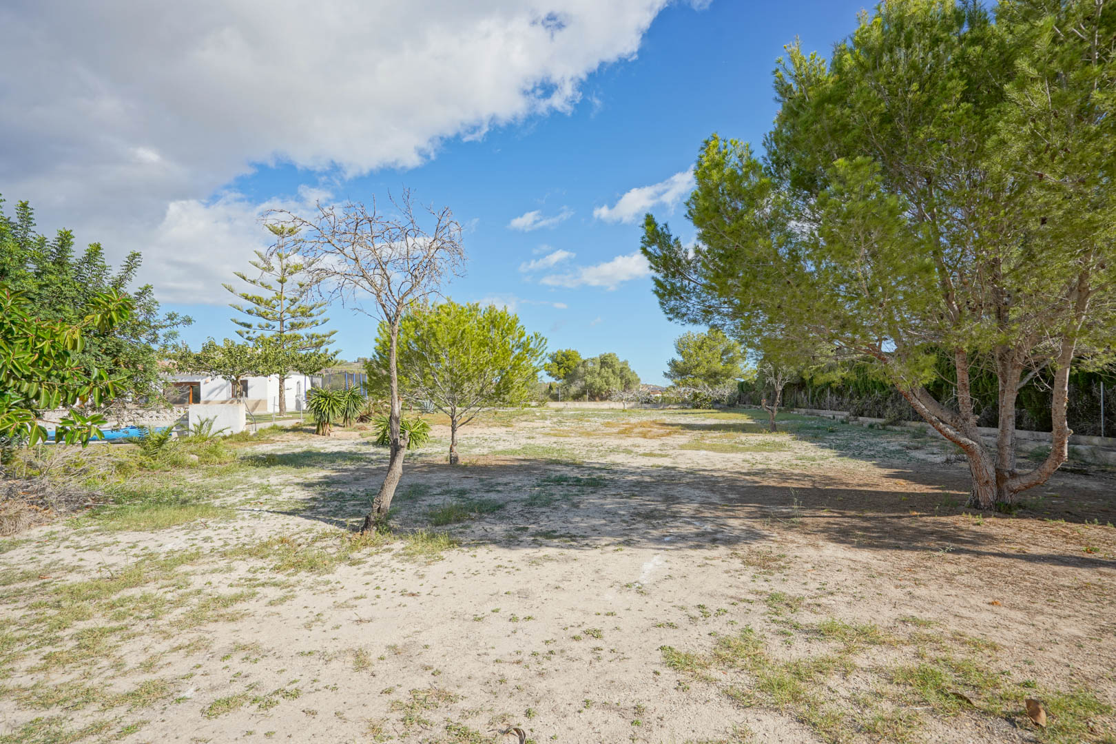 Uitgestrekt vlak perceel van 4008 m² met volwassen pijnbomen en mediterrane beplanting, wat zorgt voor veel privacy en diverse ontwikkelingsmogelijkheden.