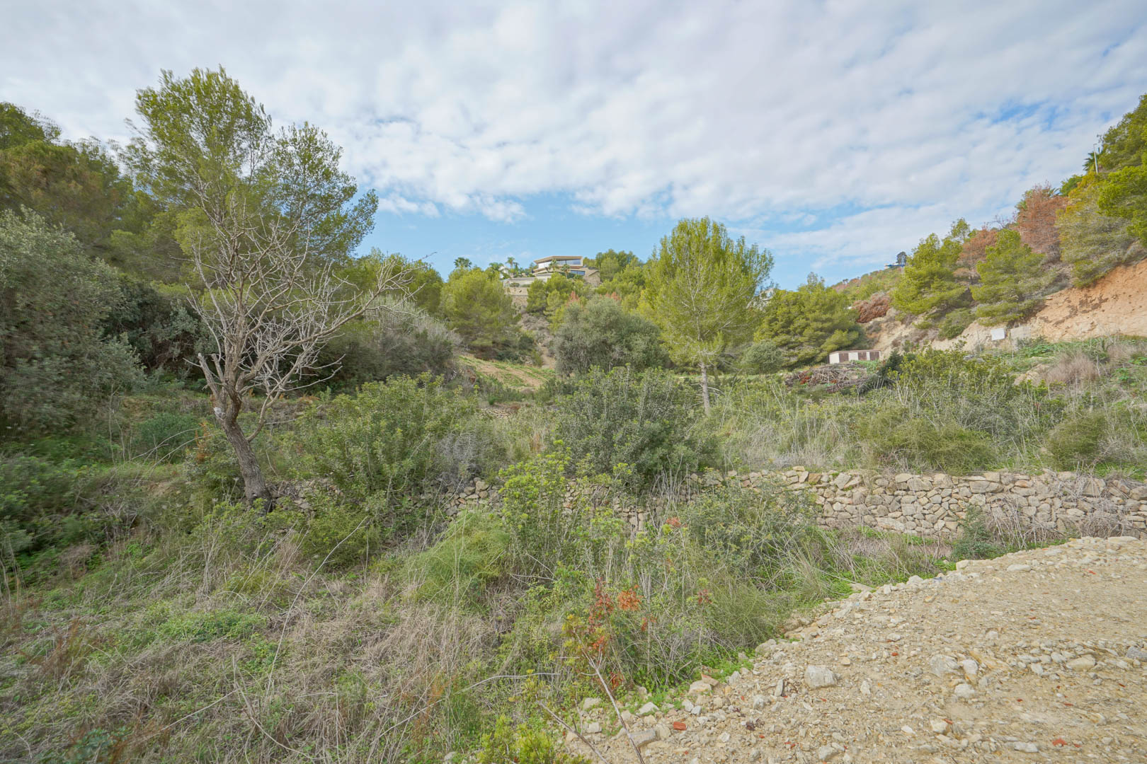 Bouwperceel met natuurlijke mediterrane vegetatie, traditionele droge stenen muren en uitzicht op de omliggende met pijnbomen begroeide heuvels.