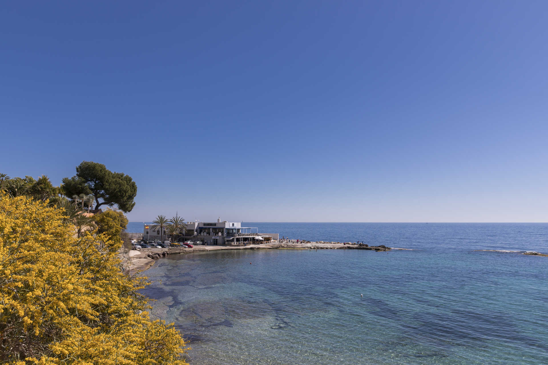 Panoramisch uitzicht op de baai van La Fustera met kristalhelder water, mediterrane beplanting op de voorgrond en een strandpaviljoen aan de kust.
