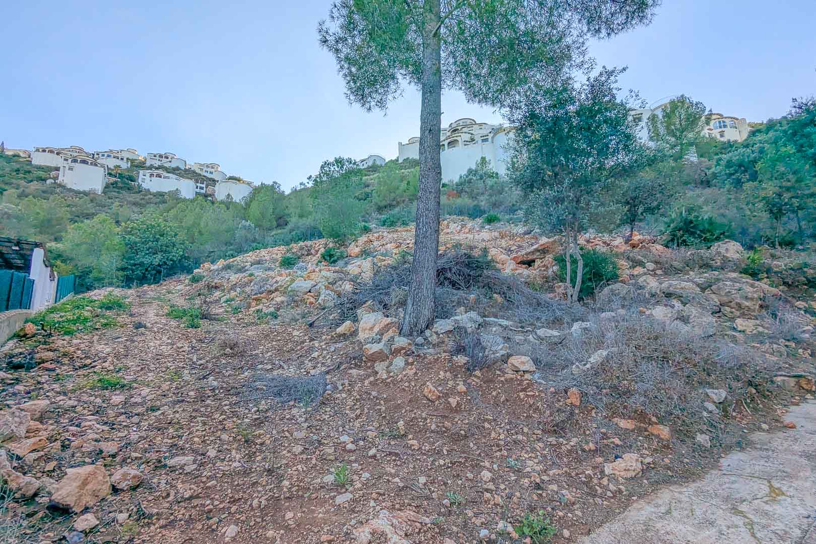 Hellend perceel in Montepego met rotsachtige bodem en pijnbomen, gesitueerd nabij witte villa's op de omliggende heuvelrug.