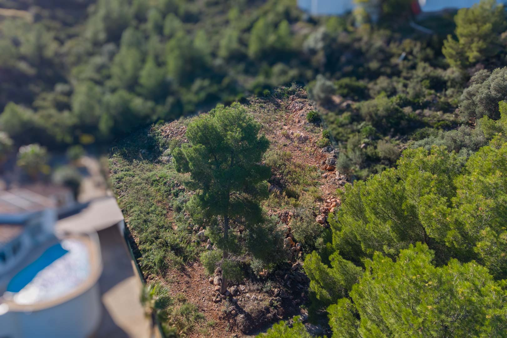 Luchtfoto van het perceel in Montepego, met een weergave van het hellende terrein met pijnbomen en mediterrane begroeiing op een rotsachtige bodem.