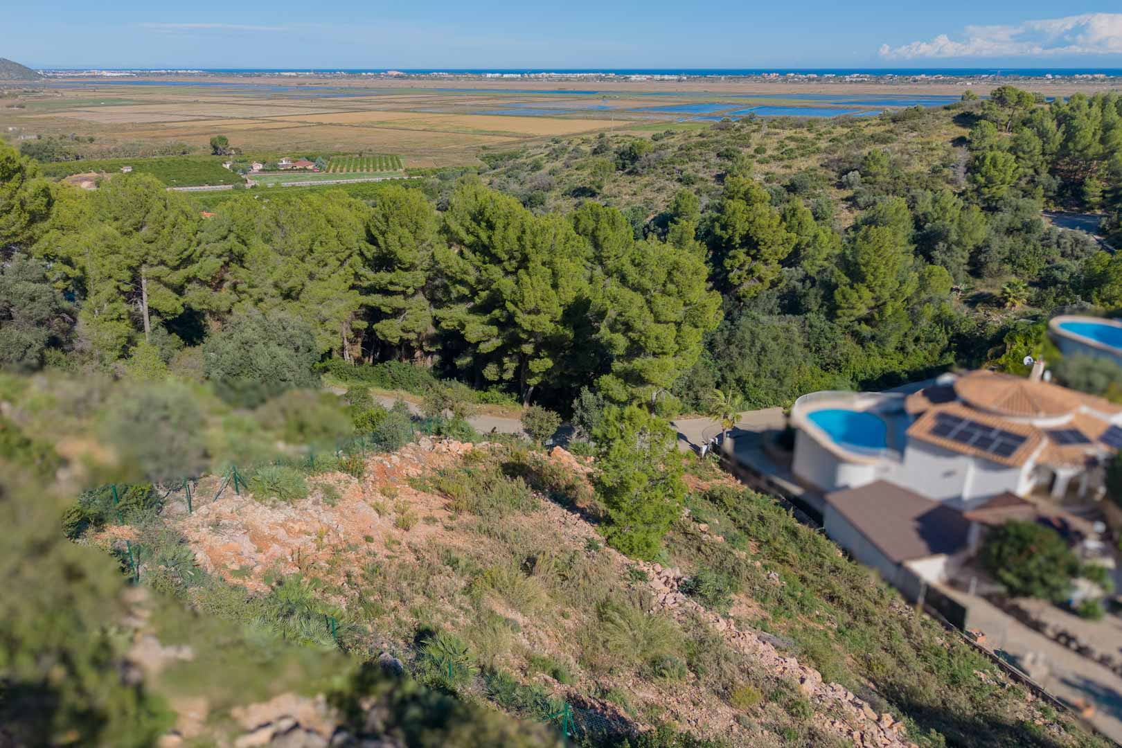 Panoramisch uitzicht vanaf het verhoogde perceel over het natuurpark Marjal de Pego en de Middellandse Zee, omgeven door pijnbomen en lokale vegetatie.
