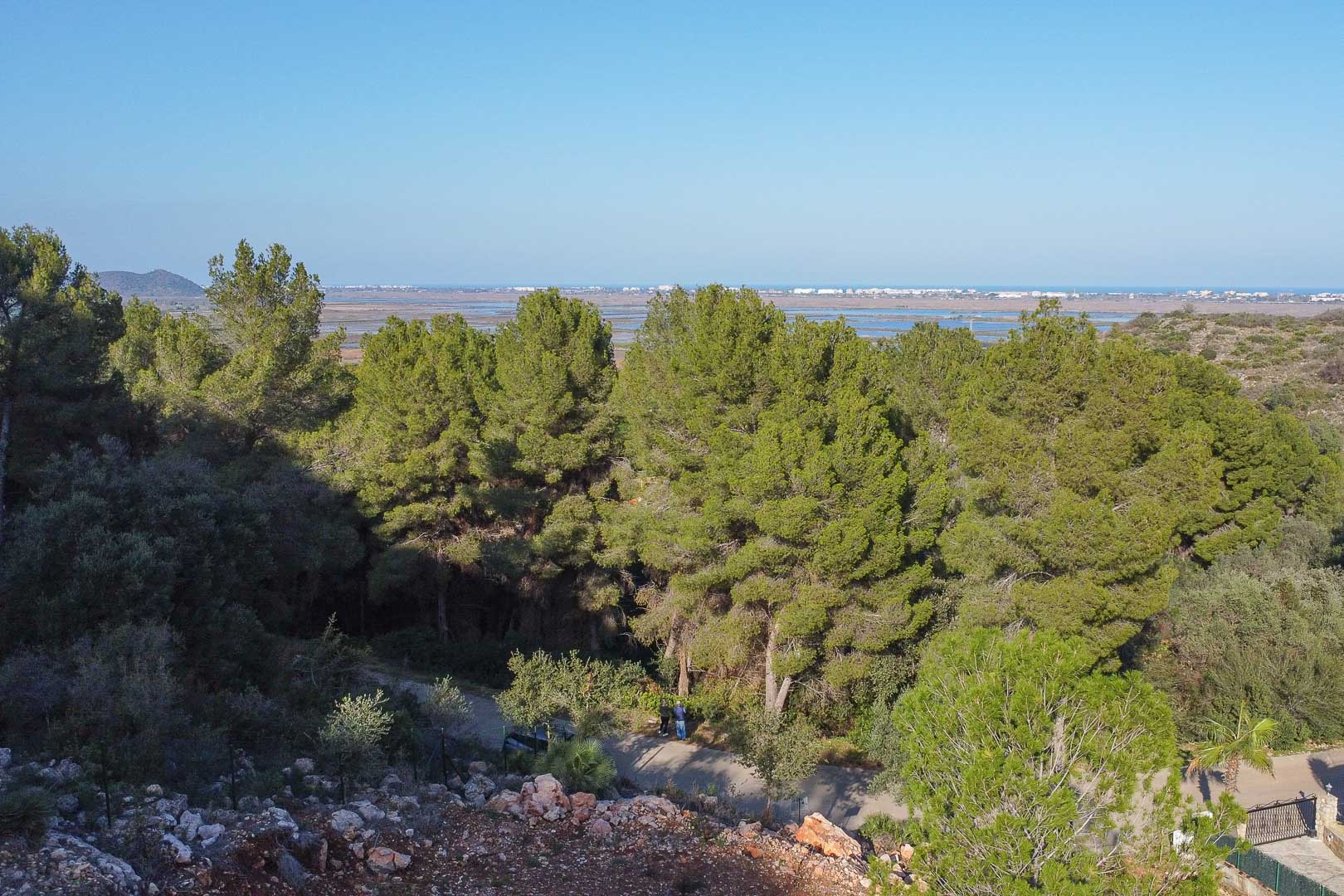Verhoogd panoramisch uitzicht vanaf het perceel over het natuurpark Marjal de Pego en de Middellandse Zee, omgeven door volwassen pijnbomen en lokale flora.