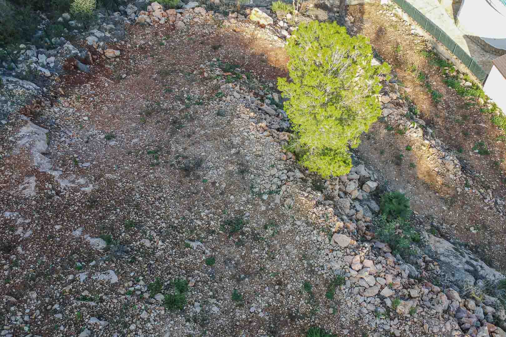 Verhoogd zicht op het perceel in Montepego, met vrijgemaakt rotsachtig terrein, een volwassen dennenboom en natuurstenen randen, klaar voor bebouwing.