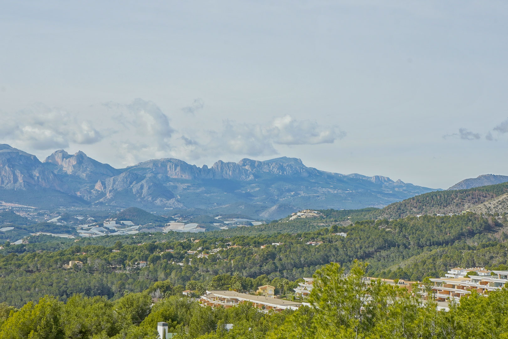 Panoramisch uitzicht over het berglandschap van de Marina Baixa, met de toppen van de Sierra Aitana boven een vallei vol pijnbomen.
