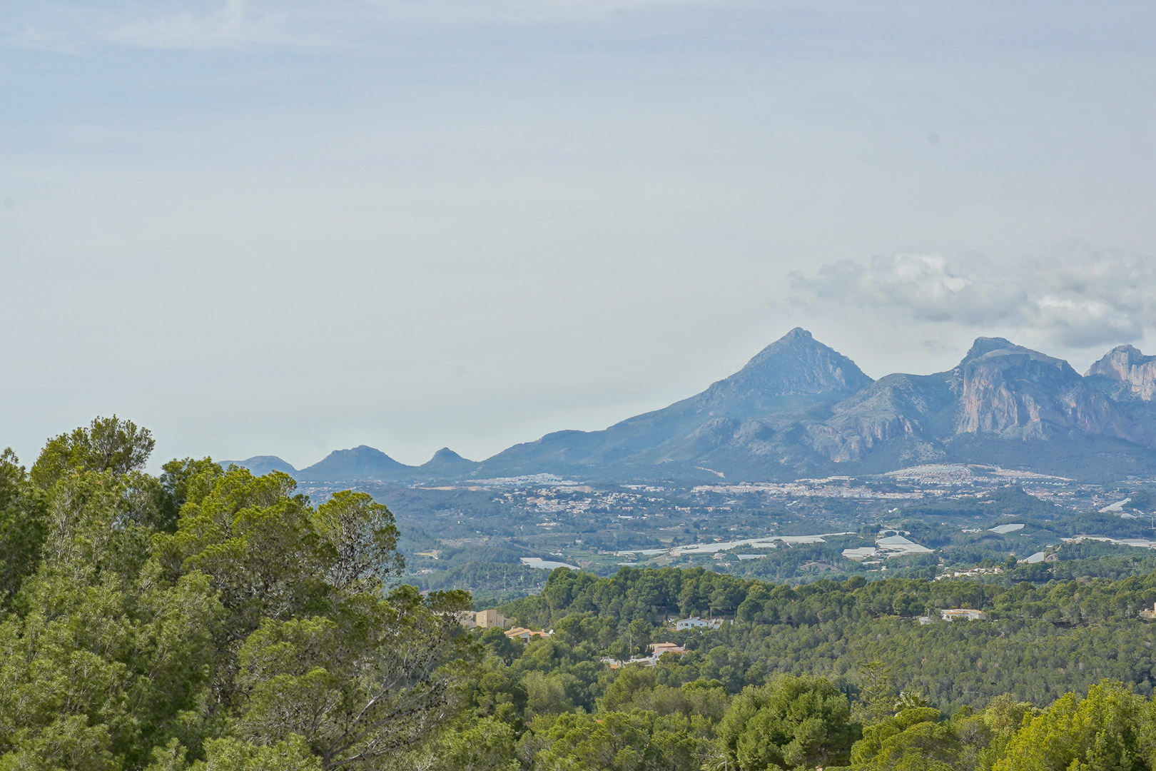Panoramisch uitzicht vanaf het landgoed op de Puig Campana en Sierra Aitana, omgeven door weelderige mediterrane dennenbossen.