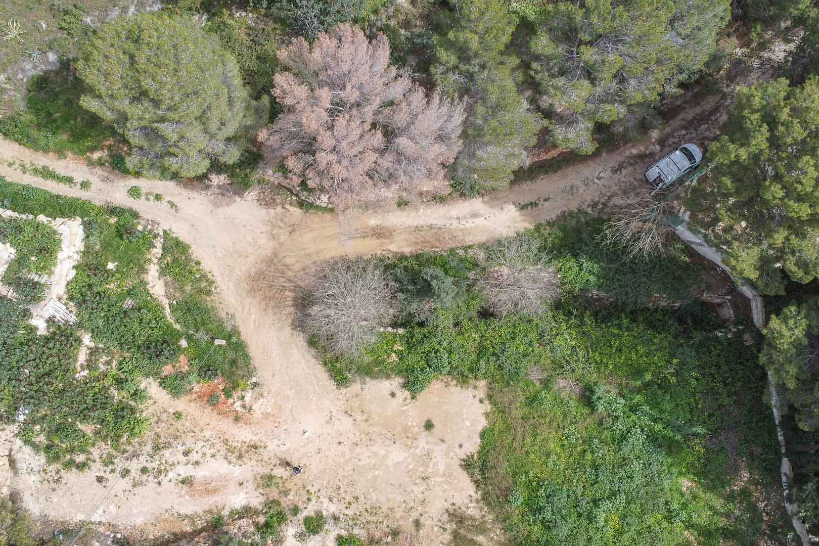 Luchtfoto van het huidige perceel in La Corona, met onverharde toegangswegen omringd door inheemse mediterrane vegetatie en pijnbomen.