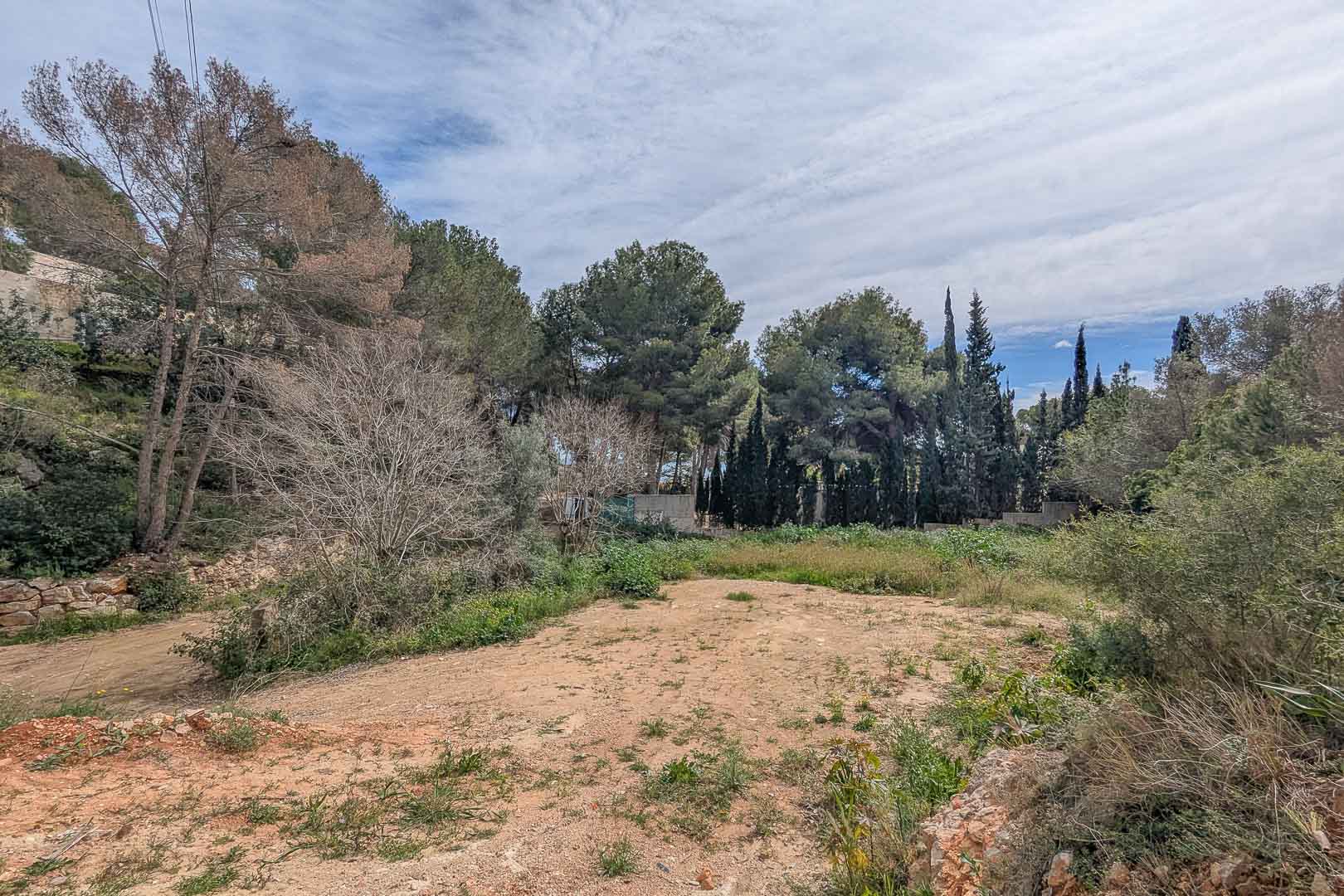 Verhoogd bouwperceel in La Corona, omringd door volwassen pijnbomen en inheemse vegetatie, klaar voor de bouw van een op maat gemaakte villa.