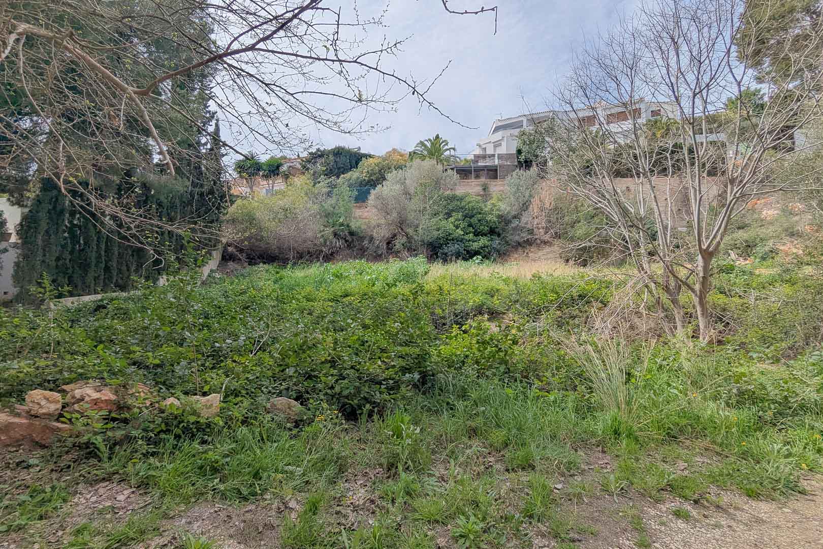 Verhoogd bouwperceel met natuurlijke mediterrane vegetatie en volwassen bomen, gelegen in een gevestigde woonwijk met vrij uitzicht op de omgeving.