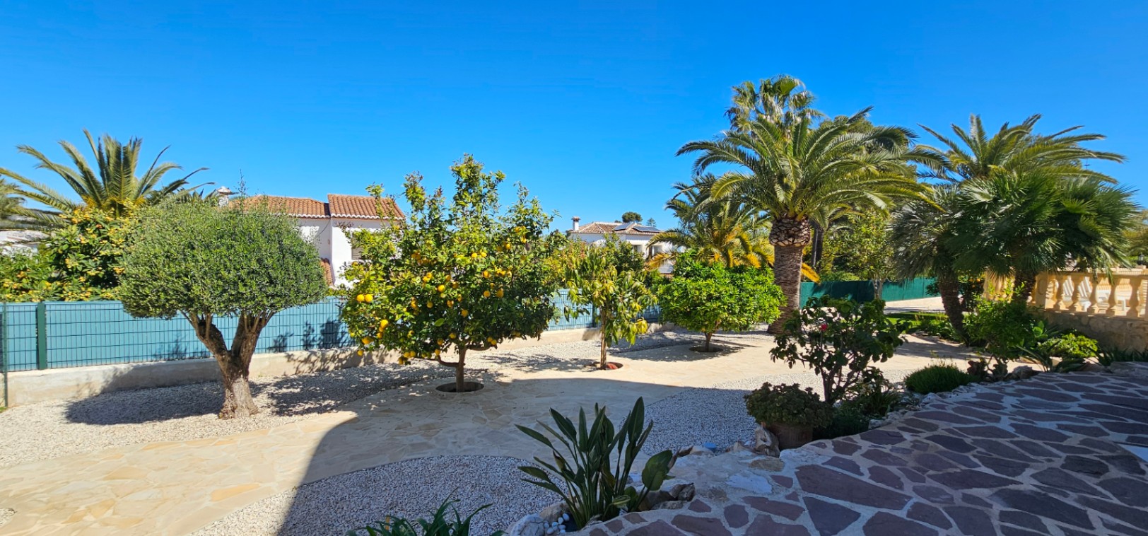 Mediterrane tuin met citroen-, olijf- en palmbomen, gecombineerd met natuurstenen bestrating en grindpaden onder een helderblauwe hemel.