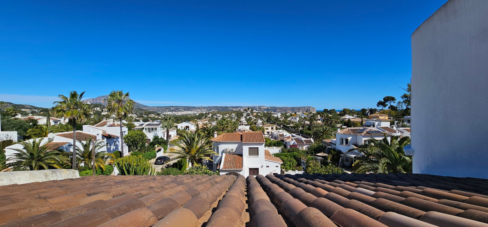 Panoramisch uitzicht vanaf het dak met traditionele dakpannen over de woonwijk van Jávea, met palmbomen en bergen aan de horizon.