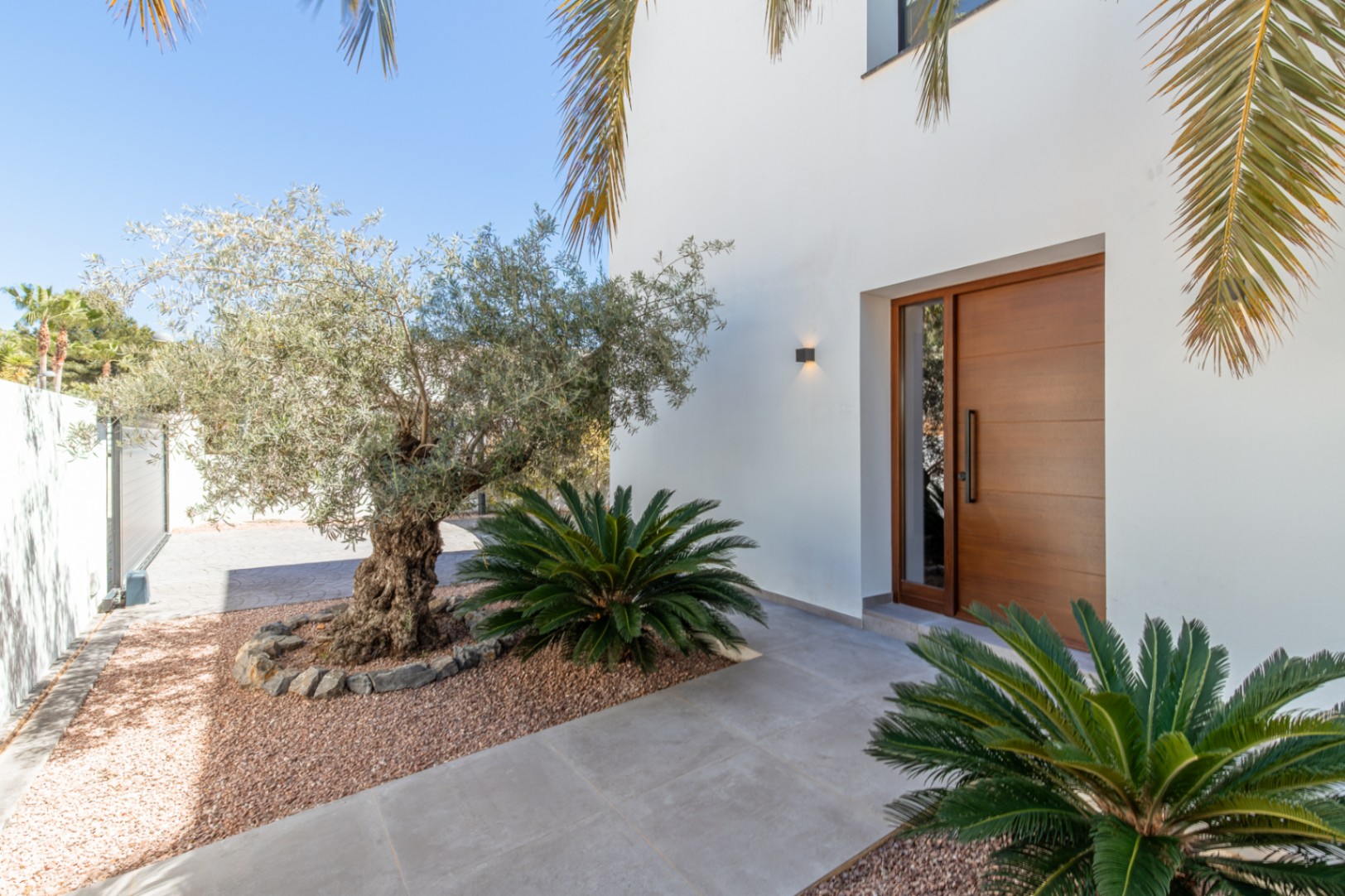Hoofdingang met massief houten deur en zijruit, omgeven door een mediterrane tuin met een olijfboom en cycaspalmen op decoratief grind.