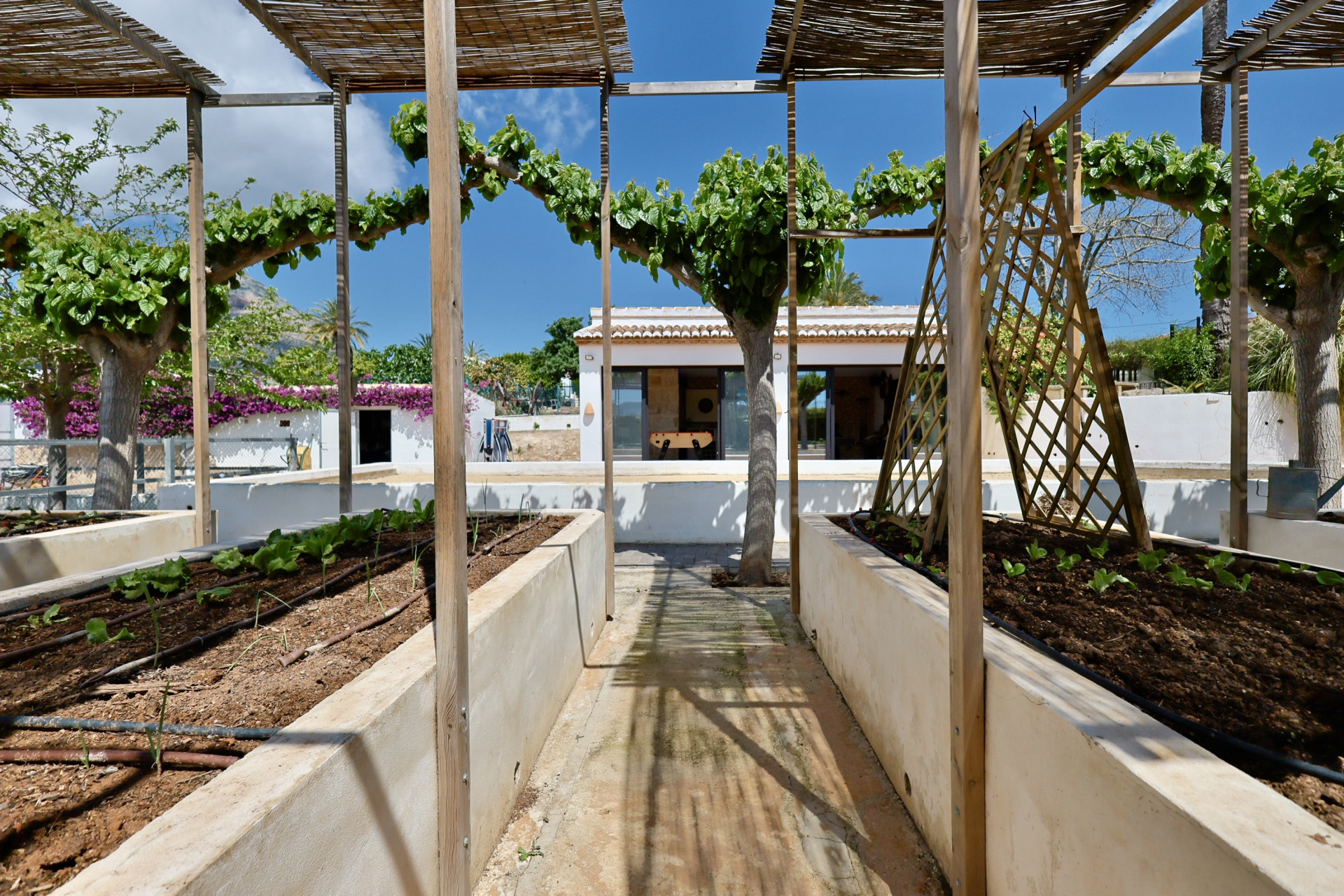 Gezicht op de verhoogde tuinbedden met houten structuur en jonge planten in Jávea.