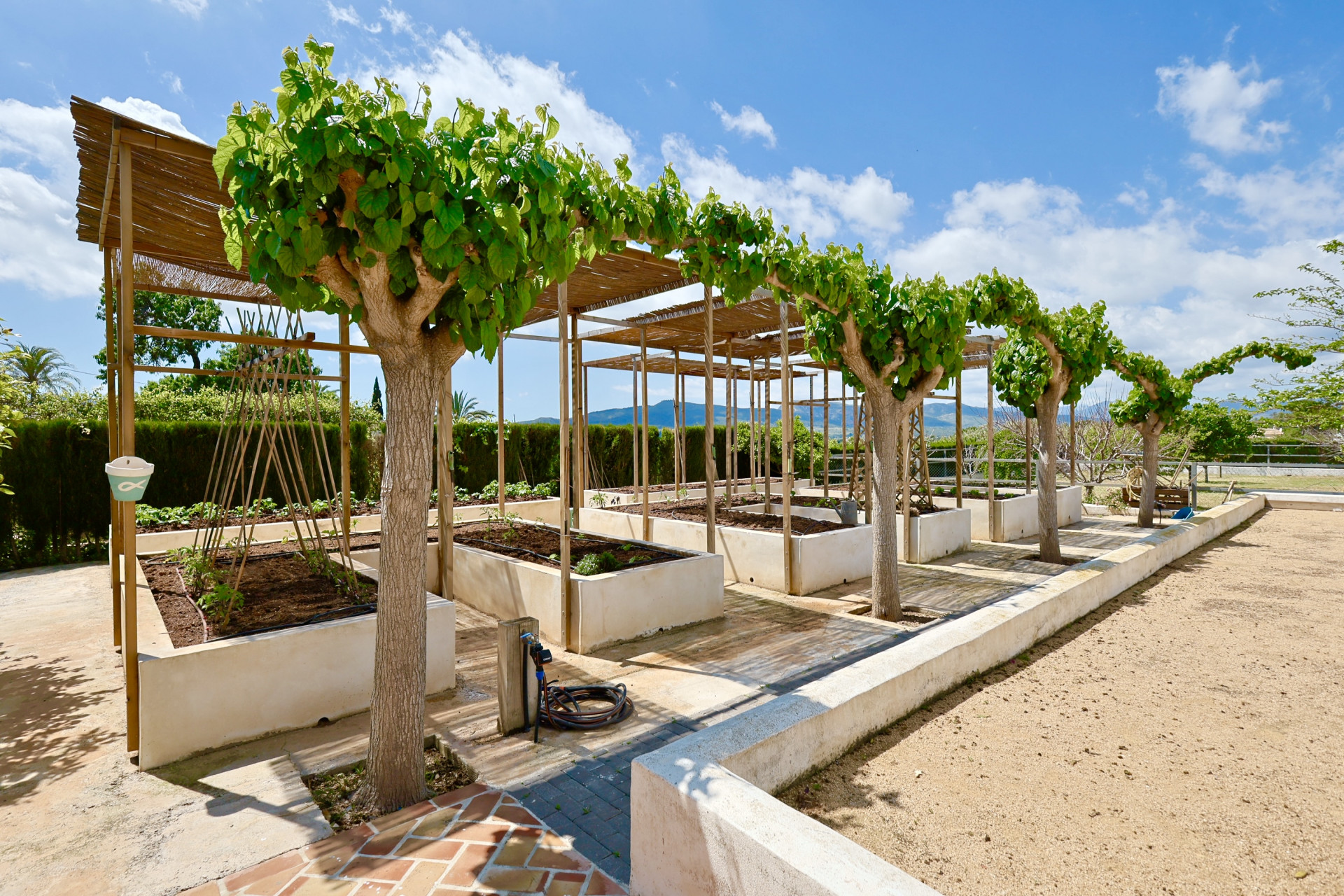 Verhoogde tuin met pergola en bomen in Jávea. Functioneel en esthetisch ontwerp.