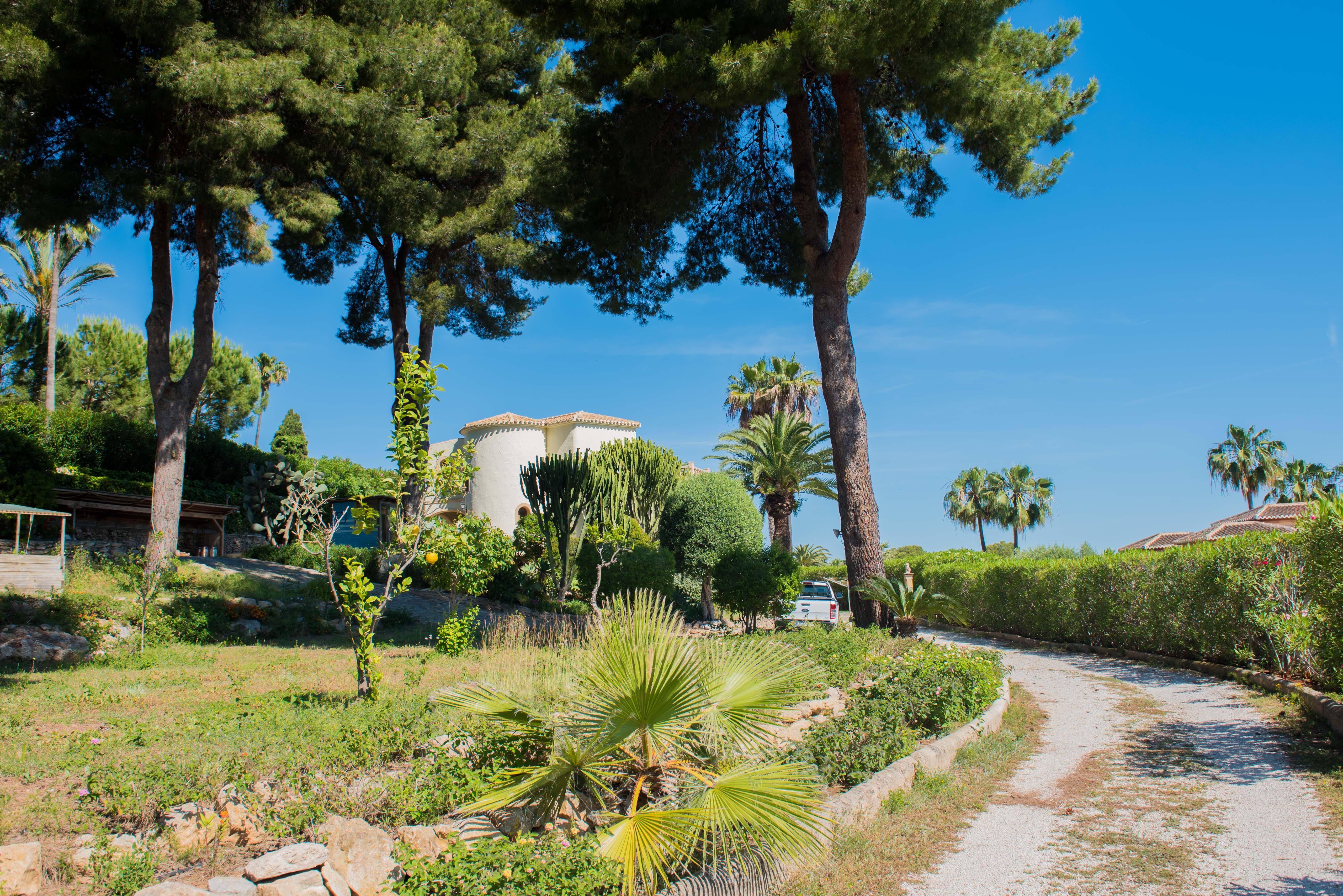 Uitzicht op het perceel met mediterrane vegetatie, palmbomen en de hoofdvilla op de achtergrond in Jávea.