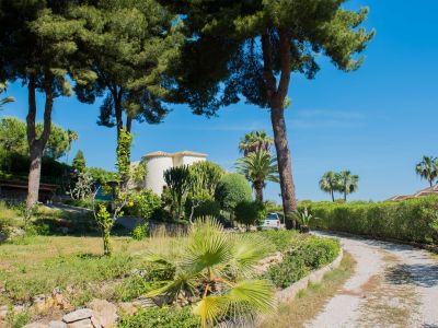 Uitzicht op het perceel met mediterrane vegetatie, palmbomen en de hoofdvilla op de achtergrond in Jávea.