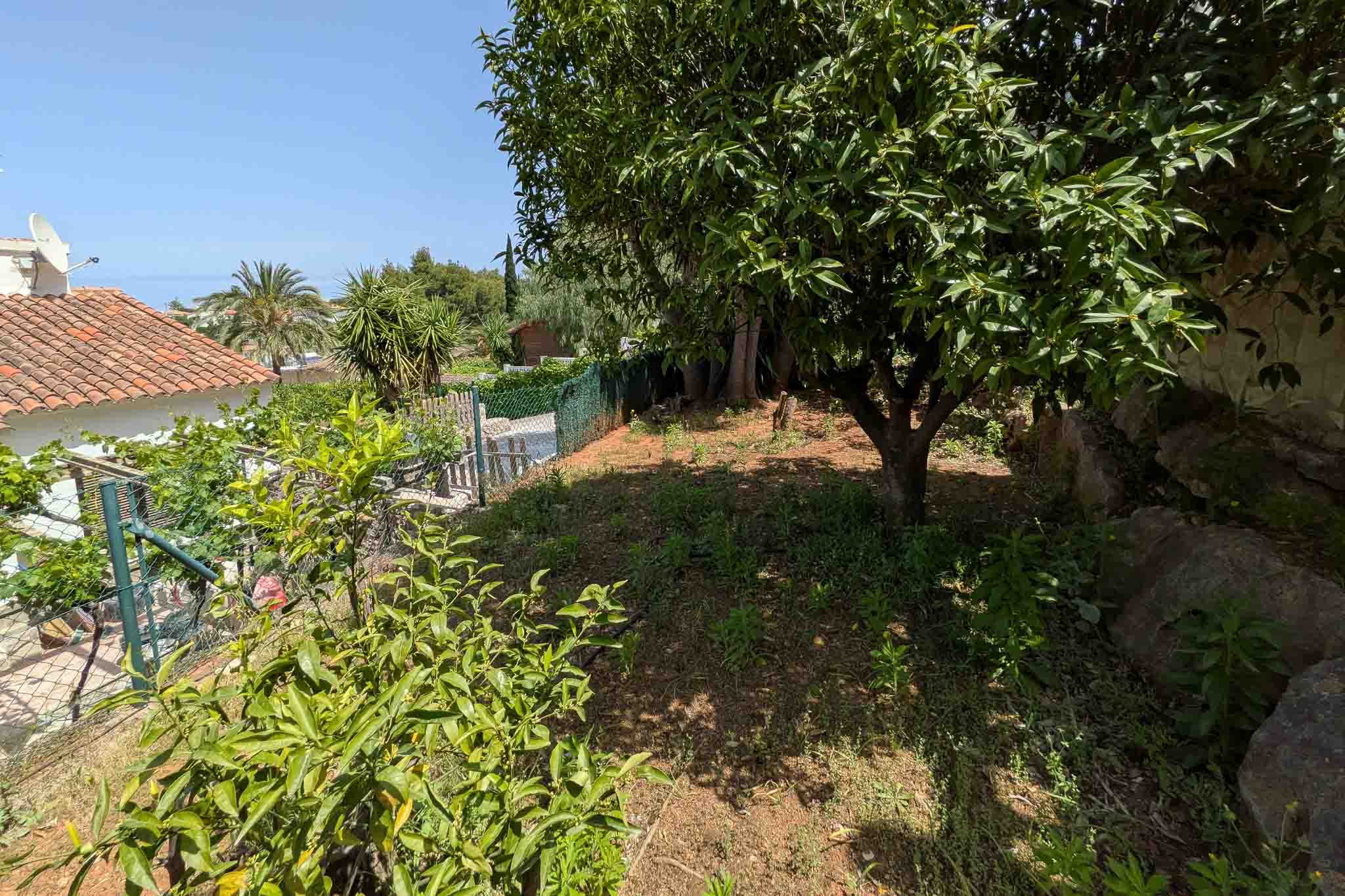 Mediterrane tuin met citrusbomen en lokale beplanting op een terrasvormig perceel, omgeven door natuurstenen muren en hekwerk.