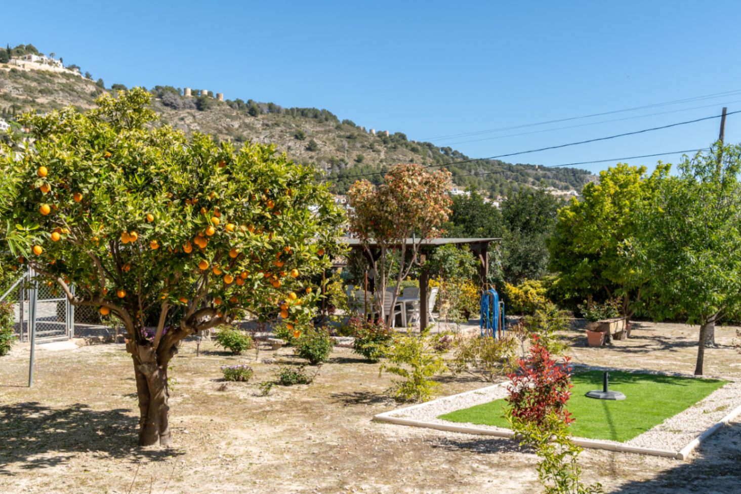 Mediterrane tuin met een vruchtdragende sinaasappelboom, eethoek onder een pergola en uitzicht op de historische molens op de heuvel.