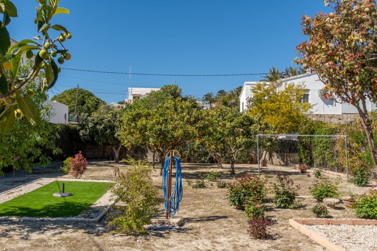 Mediterrane tuin met fruitbomen, een klein kunstgrasveld en grindpaden onder een helderblauwe hemel.