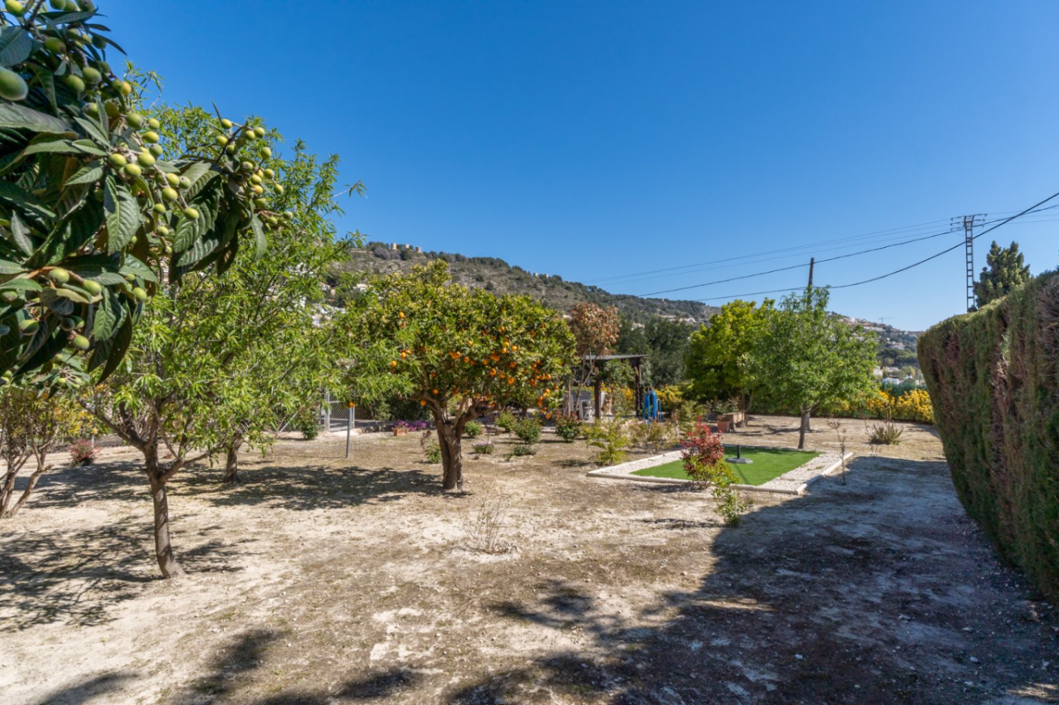 Mediterrane tuin met fruitbomen zoals mispels en citrusvruchten, gelegen op een vlak perceel met uitzicht op de omliggende heuvels.