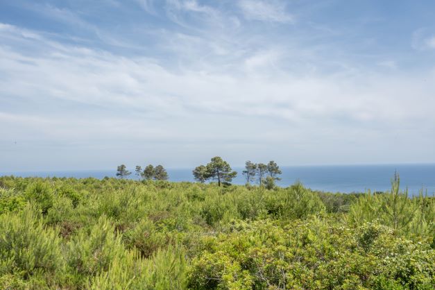 Uitzicht op het perceel met inheemse begroeiing en de Middellandse Zee op de achtergrond.