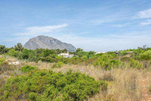 Uitzicht op het perceel met inheemse vegetatie en de Montgó-berg op de achtergrond.