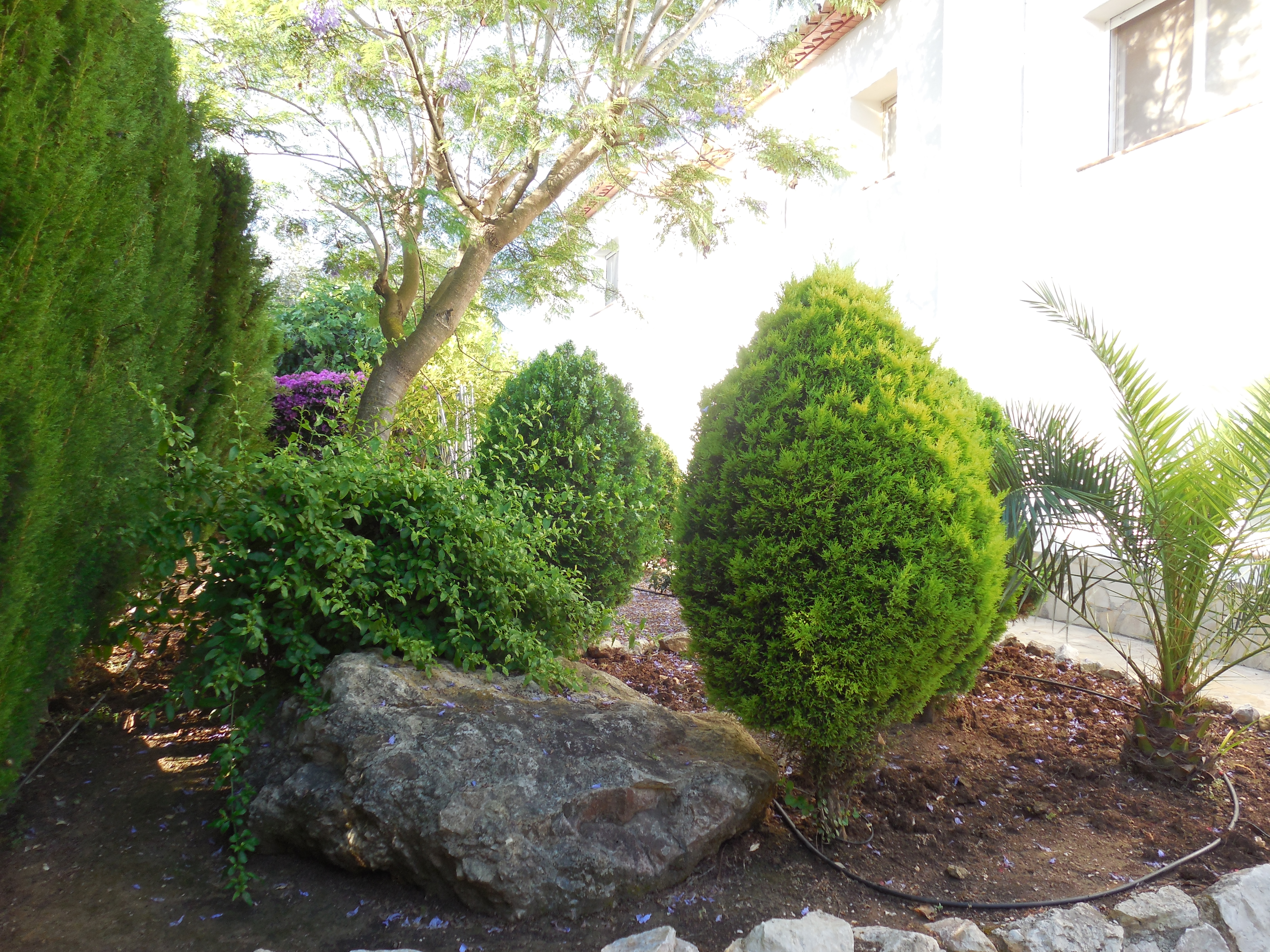 Tuin met topiary struiken en sierrotsen in Villa Jávea Pinosol.