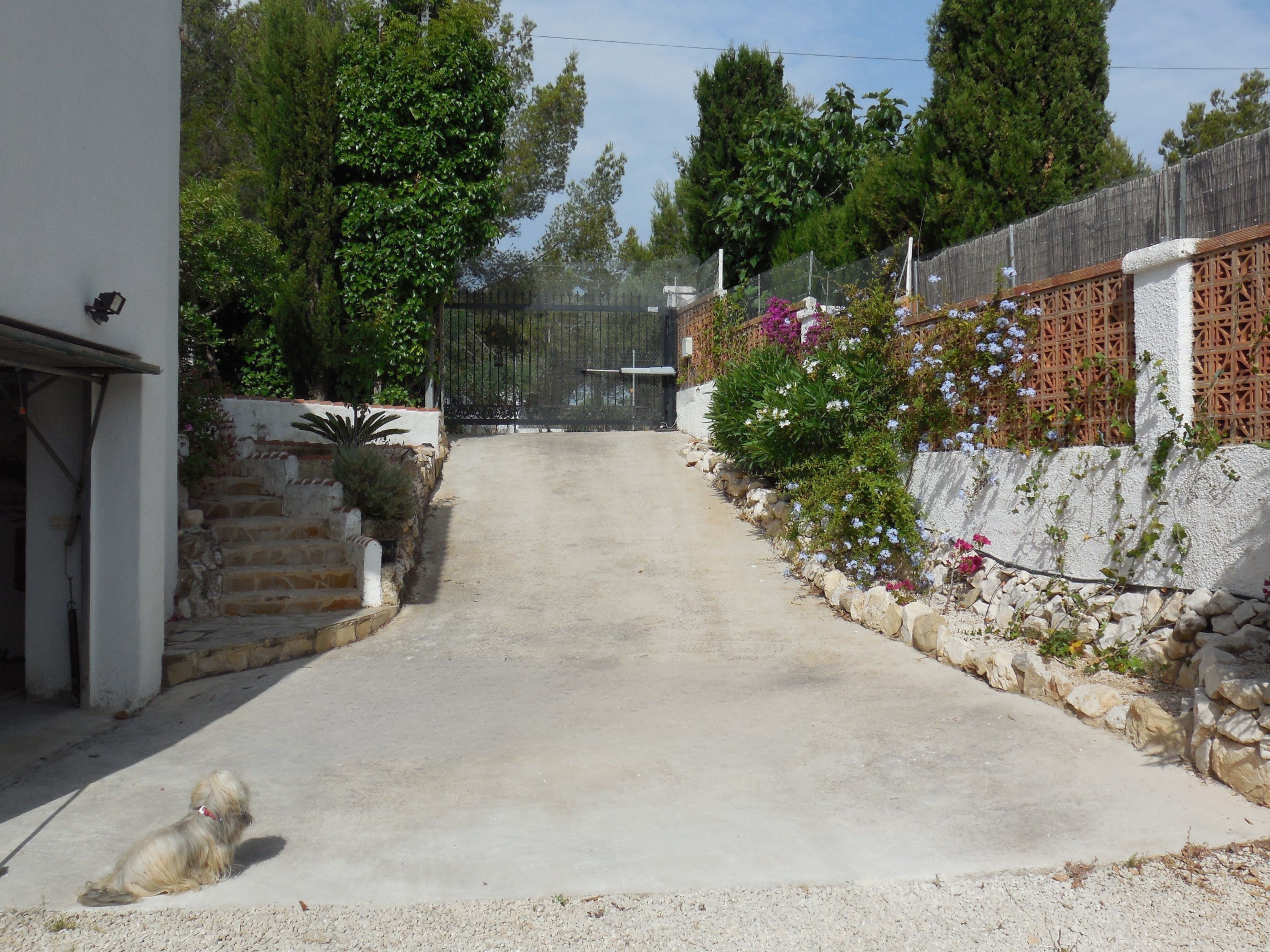 Villa-ingang met betonnen oprit, stenen trap en bloeiende vegetatie.