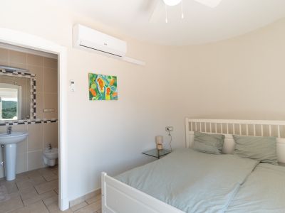 Lichte slaapkamer met en-suite badkamer, gedecoreerd met een kleurrijk schilderij en een wit houten bed.