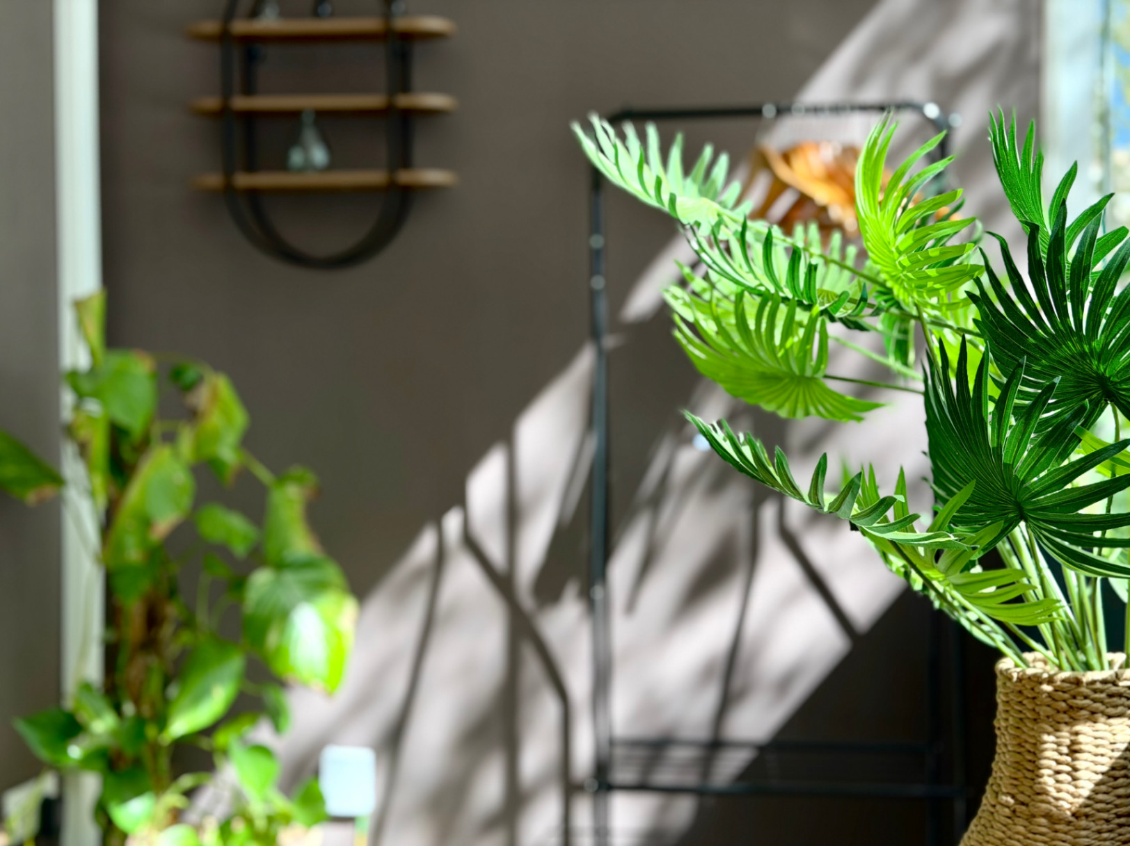 Interieurdetail met planten, een houten plank en natuurlijk licht dat schaduwen op de muur creëert.