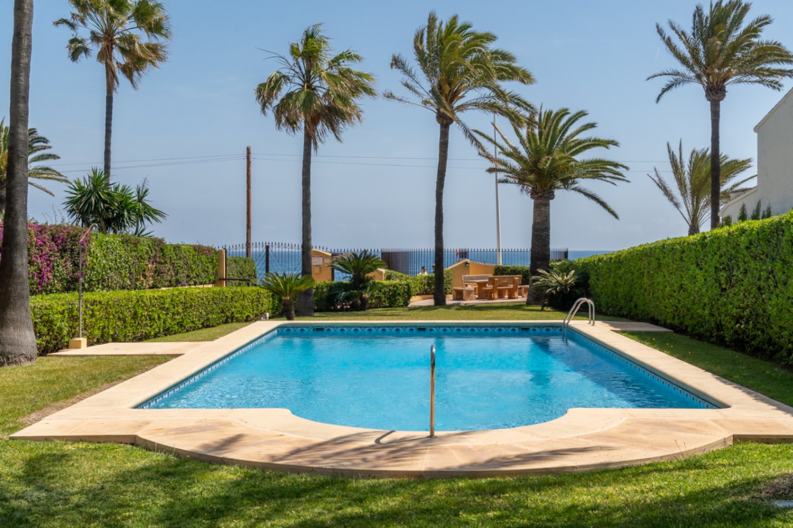 Gemeenschappelijk zwembad met stenen rand, omgeven door gras en groene hagen in een mediterrane tuin.