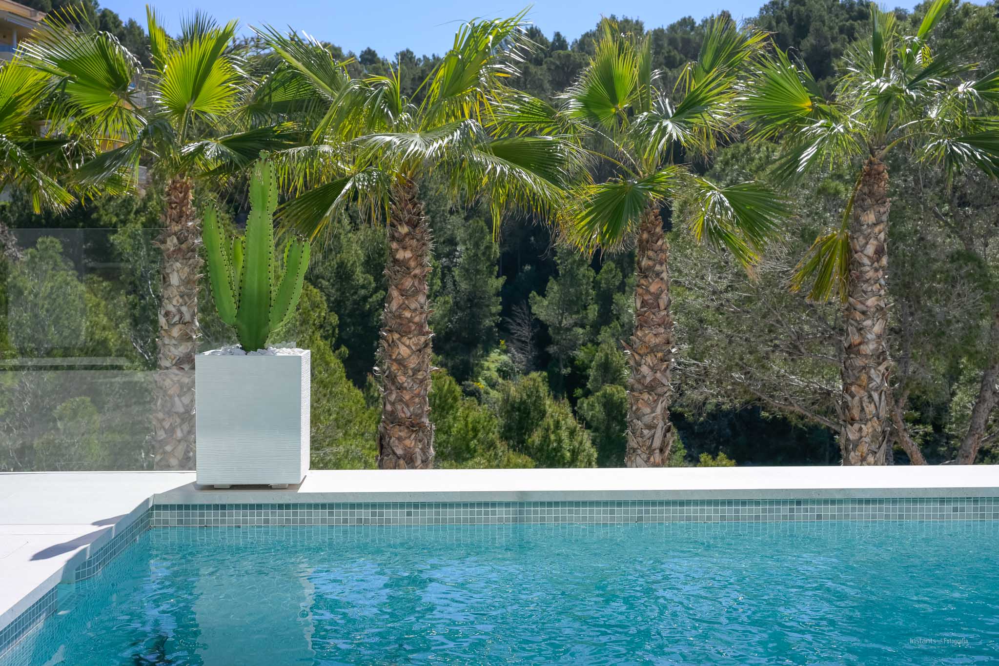De turkooizen mozaïekzwembadrand met wit detail, een cactus in pot en palmbomen tegen een dichte mediterrane bosachtergrond.