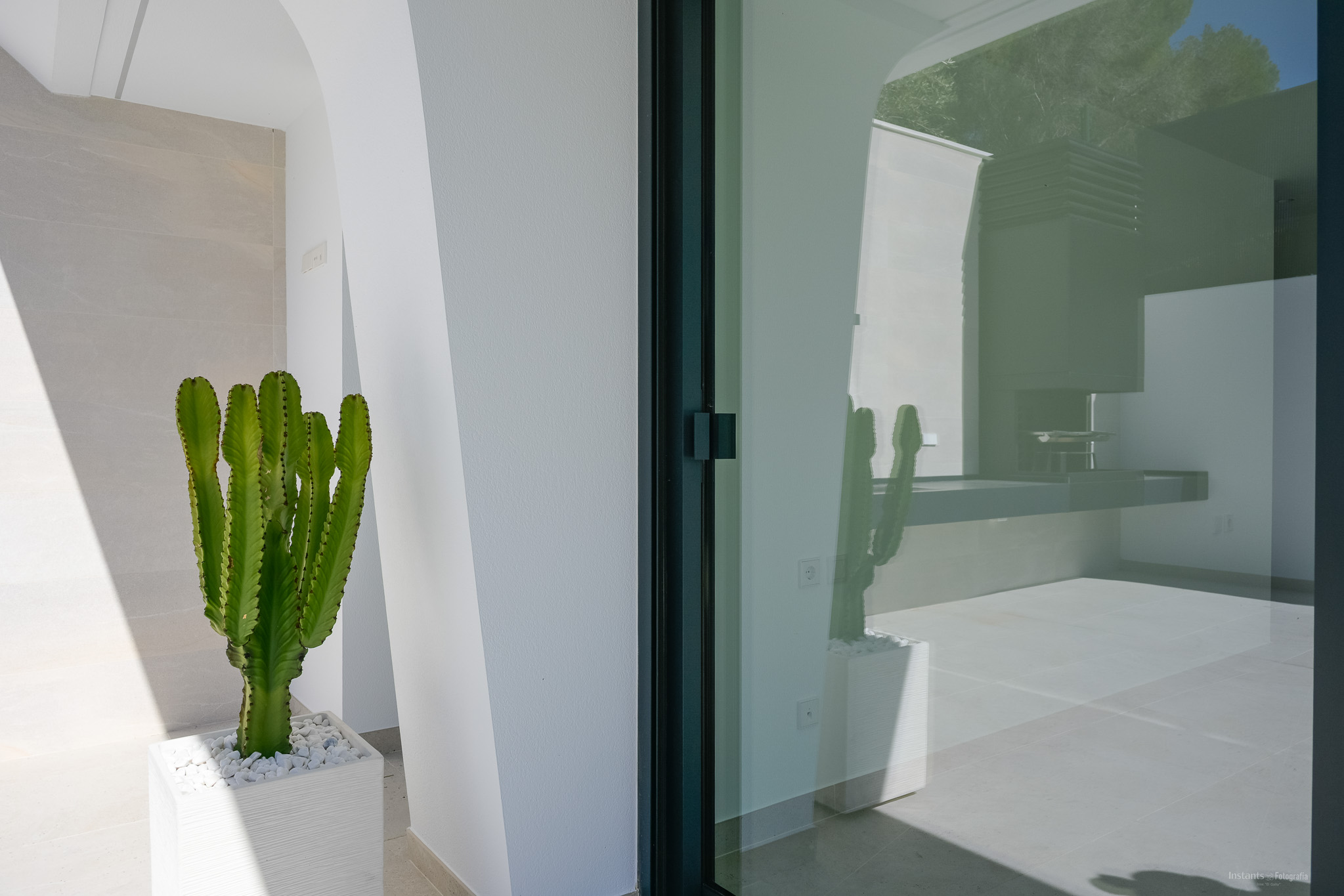 Een levendige cactus in een witte plantenbak staat bij een donker kozijn glazen schuifdeur, die een buitenkeuken en blauwe lucht met bomen reflecteert.