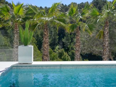 De turkooizen mozaïekzwembadrand met wit detail, een cactus in pot en palmbomen tegen een dichte mediterrane bosachtergrond.