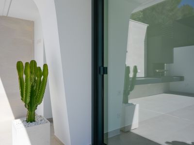 Een levendige cactus in een witte plantenbak staat bij een donker kozijn glazen schuifdeur, die een buitenkeuken en blauwe lucht met bomen reflecteert.