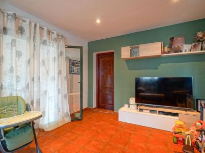 Woonruimte met terracottategels, een groene accentmuur en een tv op een modern meubel met zwevende planken. Een groot raam is voorzien van witte gordijnen met boompatroon.