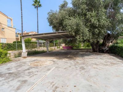 Ruime buitenparkeerplaats met een stevige metalen carportstructuur. Een grote, volwassen olijfboom en groene hagen omzomen de betonnen ondergrond.
